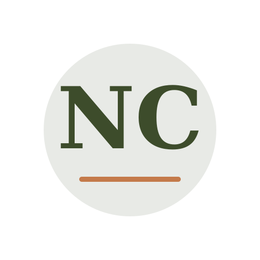 Nelson Chimney Services logo
